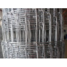 High Quality Hinge Joint Knot Field Fence in Good Price